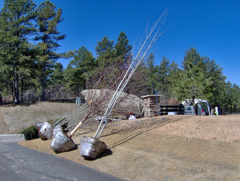 HPIM0566.JPG